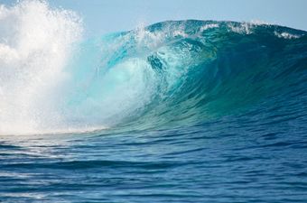 WATCH: David Attenborough’s message for World Oceans Day is truly special
