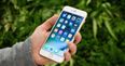 New leak suggests the new iPhone will have the feature you’ve been hoping for