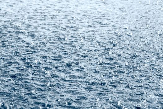 Rainfall warning