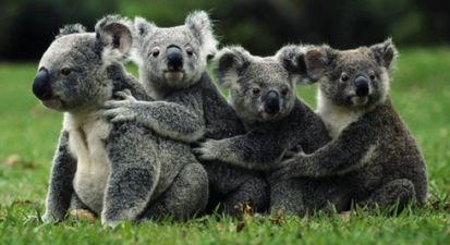 Do you like hugs? Good news! There is a cuddle party happening in Ireland this weekend