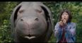 Why is Netflix’s new movie Okja causing such a fuss at Cannes?