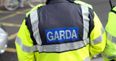 Gardaí spending a lot of money on survey to find out this small detail from the public