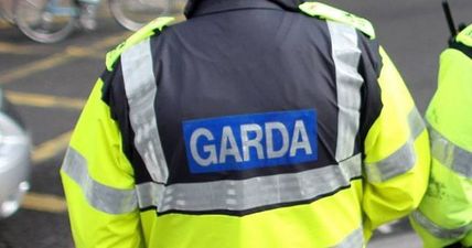 Gardaí spending a lot of money on survey to find out this small detail from the public