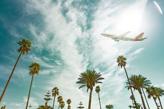 The world’s longest flight is coming – and there might be a gym and bunk beds on board