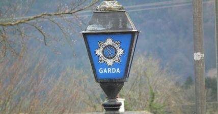 Two arrested as cannabis with street value of €1.6 million recovered in Carlow