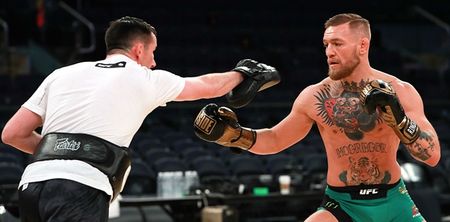 Referee needed to halt McGregor’s sparring session when things got ‘a little rough’