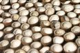 Guy tells horrific story of having sex with a coconut, other guys tell their fruit-banging tales