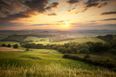 11 things you will only know if you grew up in rural Ireland