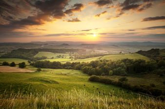 11 things you will only know if you grew up in rural Ireland