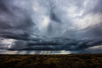 Met Éireann warns that 7 counties should expect winds up to 130 km/h this weekend