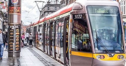 Dublin’s cyclists choose a novel way of protesting the new Luas line