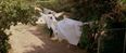 31 Days Of Hallowe’en: Halloween (1978)