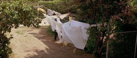 31 Days Of Hallowe’en: Halloween (1978)
