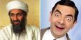 There are some very unexpected finds on the list of videos Osama Bin Laden had downloaded