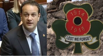 Senator explains why he gave a ‘shamrock poppy’ to Taoiseach Leo Varadkar