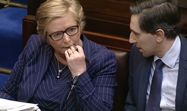Play the world’s smallest violin for Frances Fitzgerald