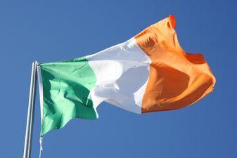 Irish people hugely in favour of remaining in EU, new report reveals