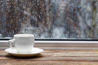Research finds that drinking tea regularly is linked to a “longer and healthier life”
