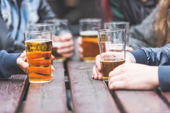 PICS: Belfast pub is looking for the owner of one of the greatest Lost & Found items of all time