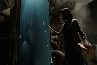 The Shape Of Water has been accused of ripping off not one but TWO different movies