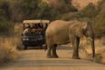 Hunter who has killed 5000 elephants says he has no regrets