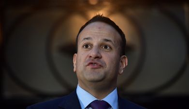 EXPLAINER: Everything you didn’t already know about Project Ireland 2040