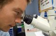 CervicalCheck screening service has a backlog of almost 80,000 tests to examine