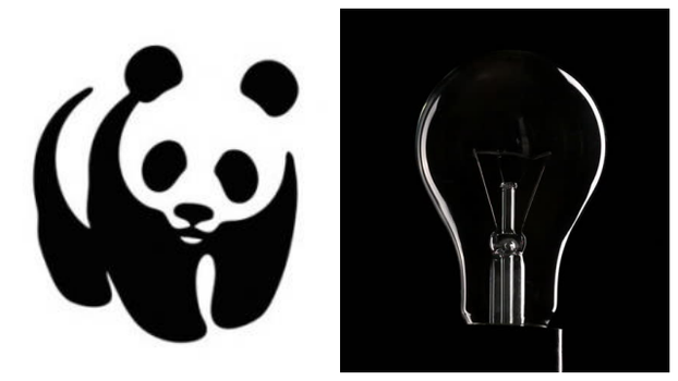 wwf buzzfeed