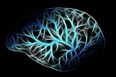 First drug that can slow down Alzheimer’s disease takes step forward