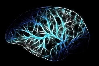 First drug that can slow down Alzheimer’s disease takes step forward