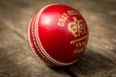 In case you missed it, the Cricket World Cup Final was absolutely mad