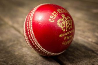 In case you missed it, the Cricket World Cup Final was absolutely mad