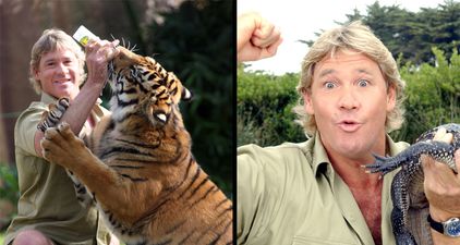 Steve Irwin’s son went on The Tonight Show and he’s just like his father