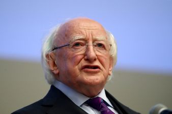 President Higgins praises 17-year-old “hero” who saved mother and daughter from drowning