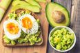 This university is actually paying people to eat avocados for them