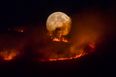 PICS: Homes evacuated near Manchester as firefighters battle huge blaze