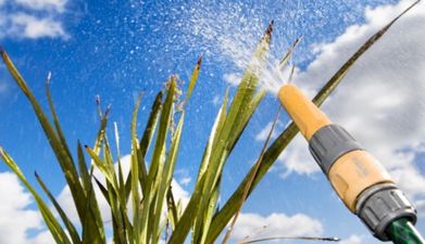 The hosepipe ban has been extended in 16 counties until the end of September