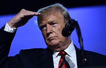 Trump is asked for his opinion on Brexit, and his answer is 100% solid gold Trump