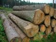 Dublin City Council to consider “log cabins in back gardens” as a way to tackle the housing crisis