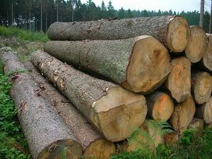 Dublin City Council to consider “log cabins in back gardens” as a way to tackle the housing crisis