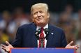 A Google Image search for the word ‘idiot’ returns results Donald Trump won’t want to see