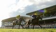WIN: Halo and JOE are offering you a brilliant prize for the Galway Races