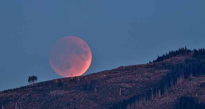lunar eclipse