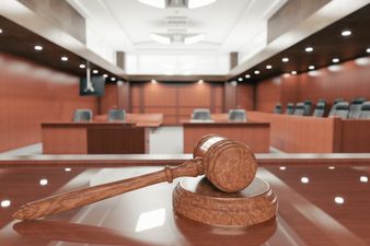 An Irish citizen has pleaded guilty to terror charges in America