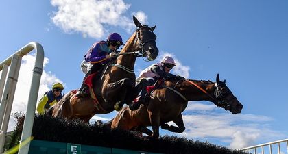 Paddy Power to hand out 10,000 bottles of ‘The Cure’ to punters at the Galway Races