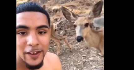 Meet Brother Nature, the Twitter account that you simply have to follow