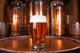 Publican Liam LaHart on the derelict site in Temple Bar that became a haven for beer lovers
