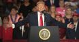Donald Trump condemns racism on anniversary of violent Charlottesville alt-right rally