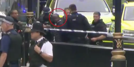 Footage shows moment man arrested by armed police following Houses of Parliament barrier crash