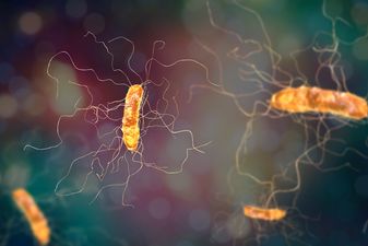 “New” type of a superbug found at Irish hospital, HSE warns